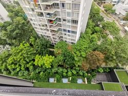 Amber 45 (D15), Apartment #417032821